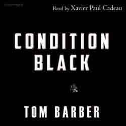 audiobook cover image