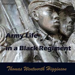 audiobook cover image