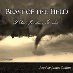 audiobook cover image