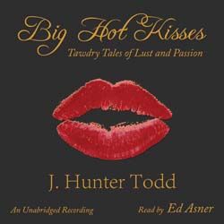 audiobook cover image
