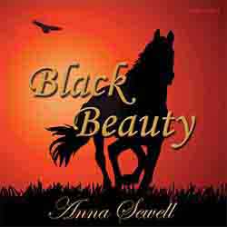 audiobook cover image