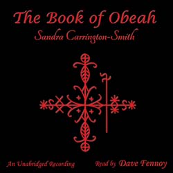 audiobook cover image
