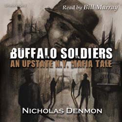 audiobook cover image