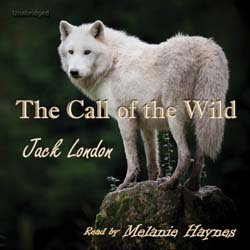 audiobook cover image