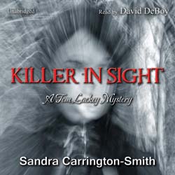 audiobook cover image