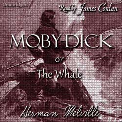 audiobook cover image