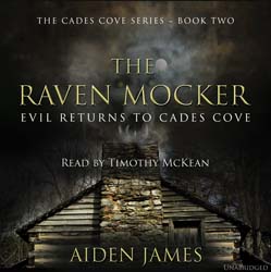 audiobook cover image
