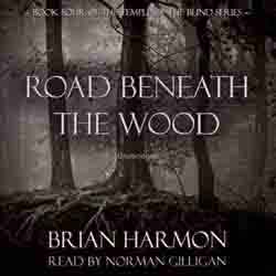 Road Beneath the Wood audiobook cover image