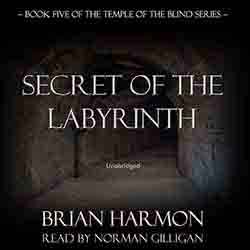 Secret of the Labyrinth audiobook cover image