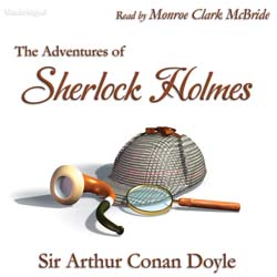 audiobook cover image