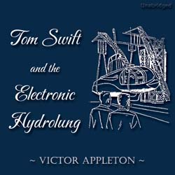audiobook cover image