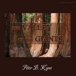 audiobook cover image