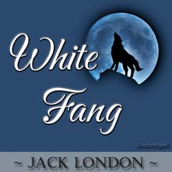 audiobook cover image
