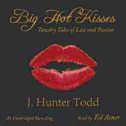 Big Hot Kisses audiobook cover image