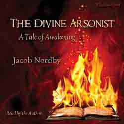 The Divine Arsonist audiobook cover image
