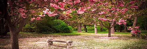 Cherry Hill Publishing mobile website Contact page image