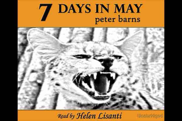 7 Days in May audiobook cover image