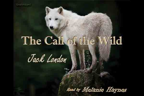 Call of the Wild audiobook cover image
