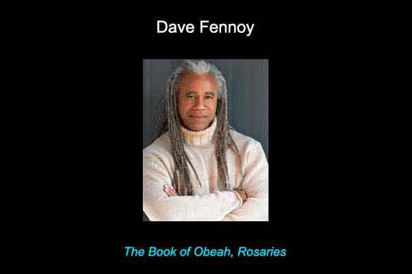 Dave Fennoy audiobook narrator photo