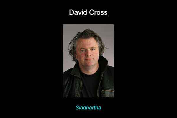 David Cross audiobook narrator photo