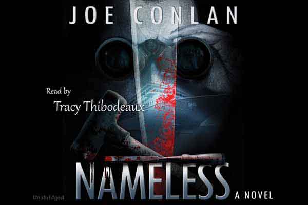 Nameless audiobook cover image
