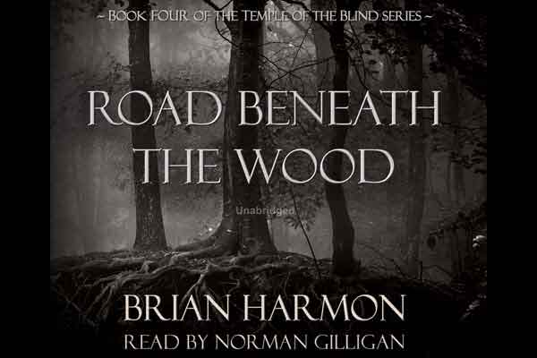 Road Beneath the Wood audiobook cover image