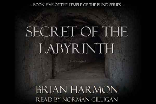 Secret of the Labyrinth audiobook cover image